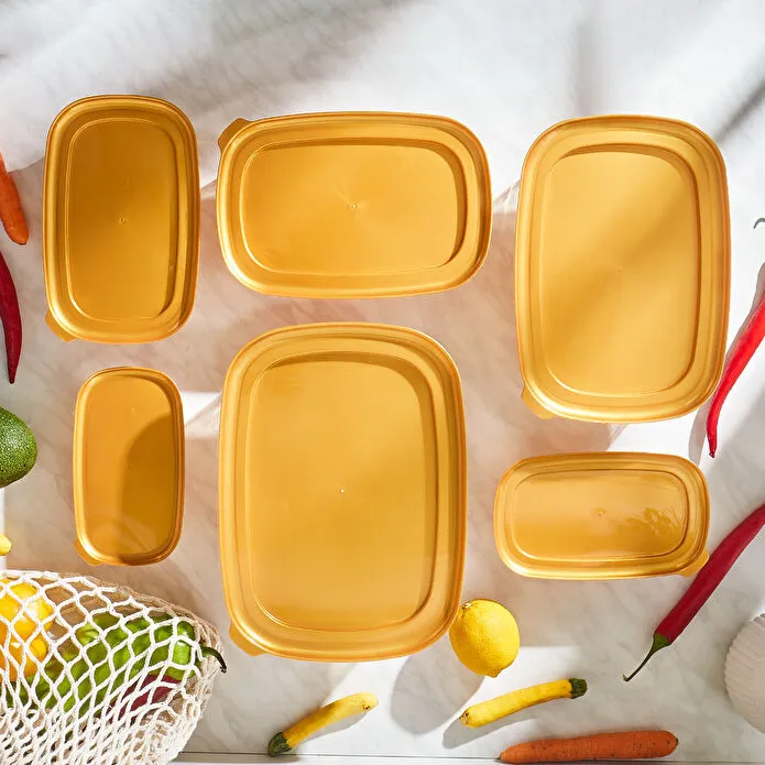 ظروف نگهدارنده و حمل غذا 6 تایی کاراجا مدل ویکس رنگ طلایی